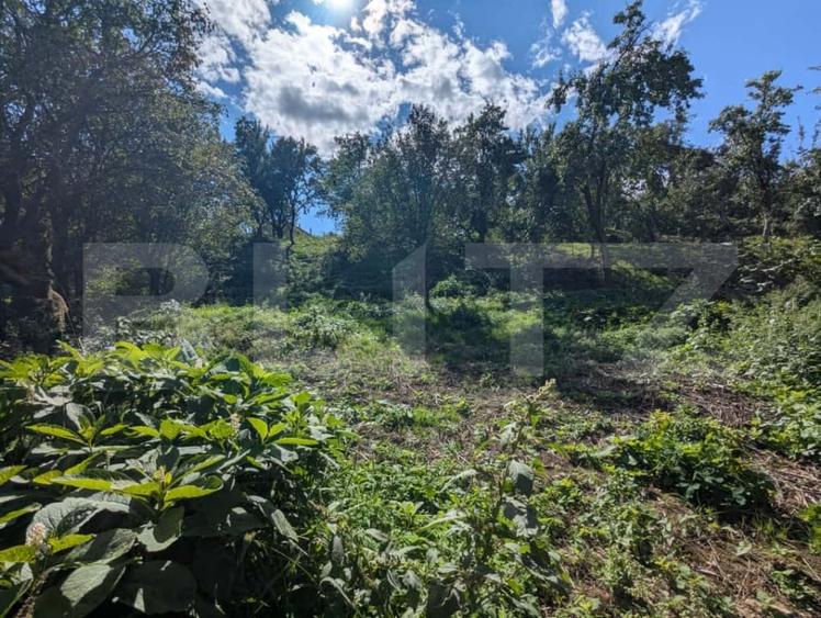 Casa renovabila cu teren generos de 1268 mp si front de 20 m, Gheorghieni Sat - 4