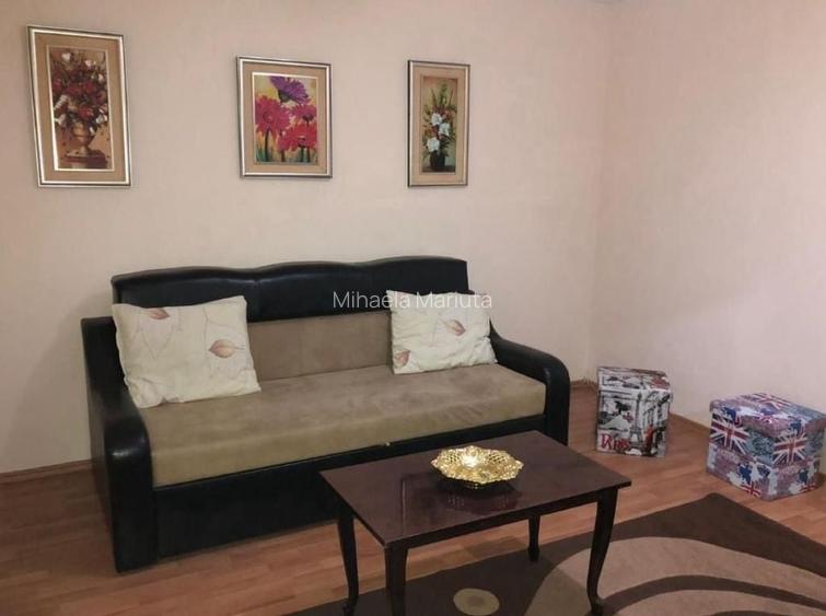 GARSONIERA DELFINULUI, PET-FRIENDLY, BUCATARIE INCHISA, REABILITAT