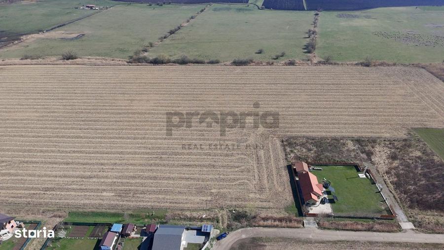 Teren Cu Potential -Localizat La Intersectia Drumul Cu Plopi -Castel - 8