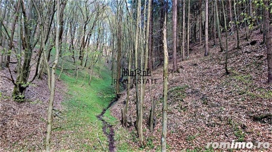 Domeniu de 7 ha in Apuseni - Criscior, Hunedoara - 8