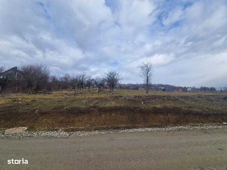 Teren intravilan 1014 m2 strada Noua Cisnadie(continuare strada Lunga) - 3