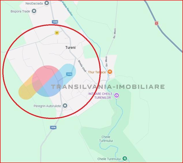 Teren intravilan 7600mp - Tureni - 1
