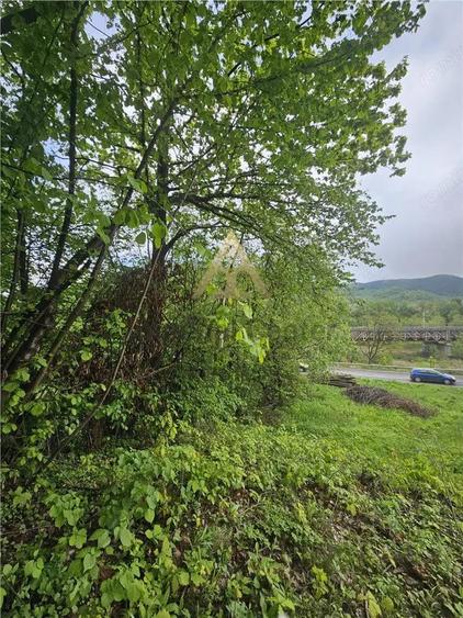 TEREN PENTRU BUSSINESS 2842 MP DE VANZARE IN STATIUNEA TARGU OCNA - 2