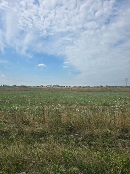 Mosnita Veche - 11 parcele - 10800 mp- CF individuale - 7