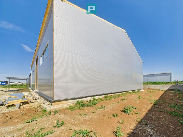 Hală industrială în zona Giarmata – Timiș - 8