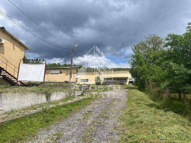 Spatii productie si depozitare, zona Sebis - Prunisor-Carand