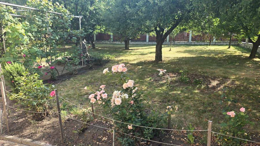 Vand proprietate in Deva. zona Ceangai, compusa din 2 imobile (case de locuit), - 2