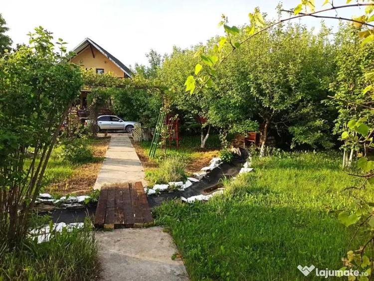 Casa ( P+E ) Zona Mitocasi-Mitocul Dragomirnei - 3
