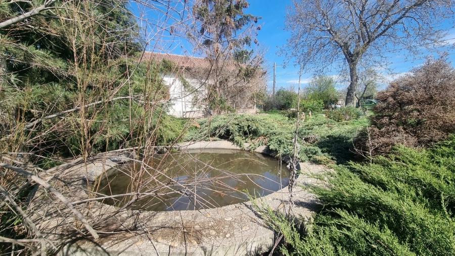 Casă la țară de vânzare în Tartășești – refugiu de relaxare aproape de București - 4