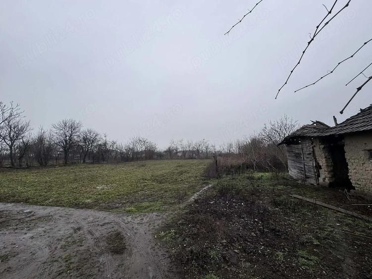 Casa de vanzare - 6