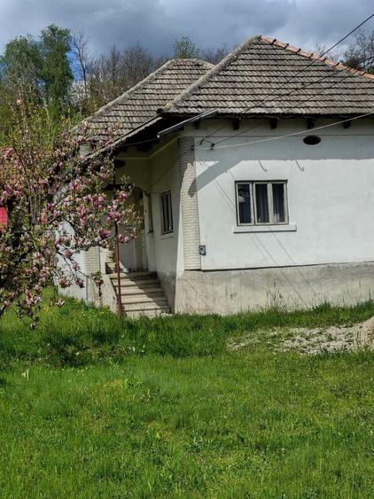 Case si teren de vanzare - 4