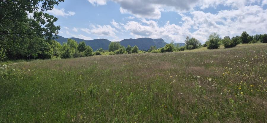 Teren Tohan parcelat in zona pitoreasca - 1