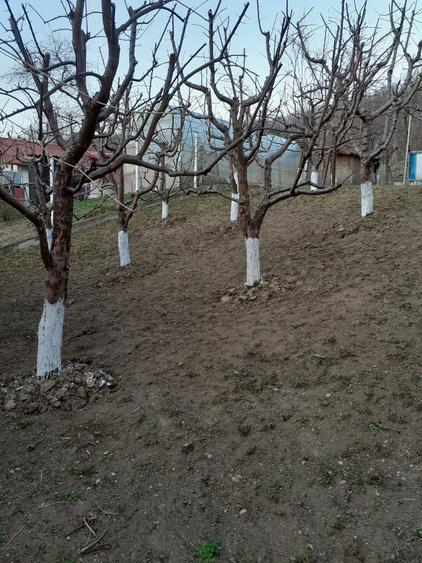 Casa si teren Buhea de Jos, Prahova - 6