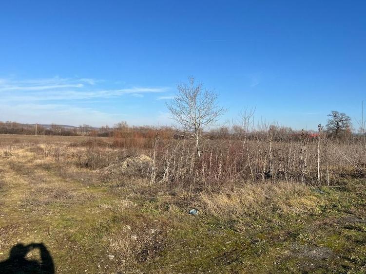 Teren intravilan, Săcădat, 27 921 mp. 9,5 Euro/mp. Comision 0. - 3