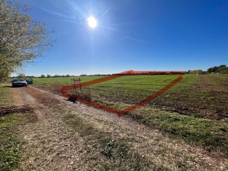 TEREN INTRAVILAN  5400mp BAICOI in apropiere de DN1 - 1