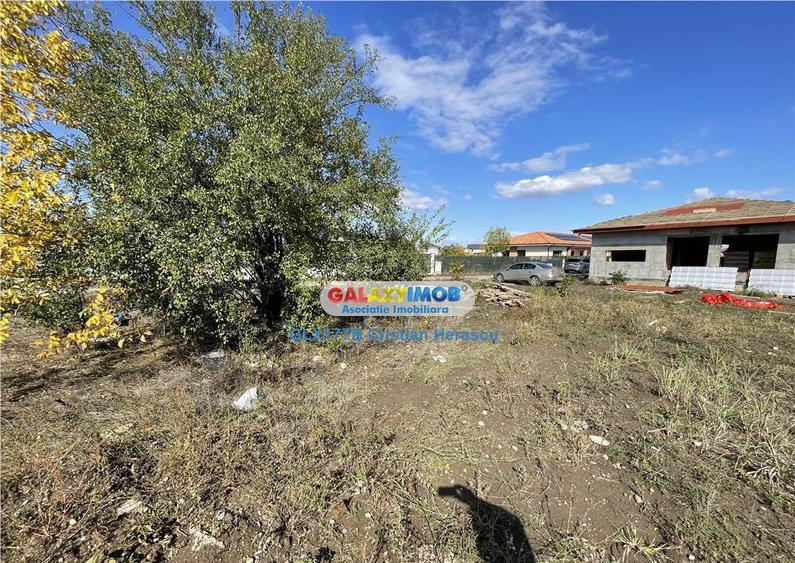 Gulia Tartasesti Str Samurcasi 482 mp deschidere 25 ml - 12