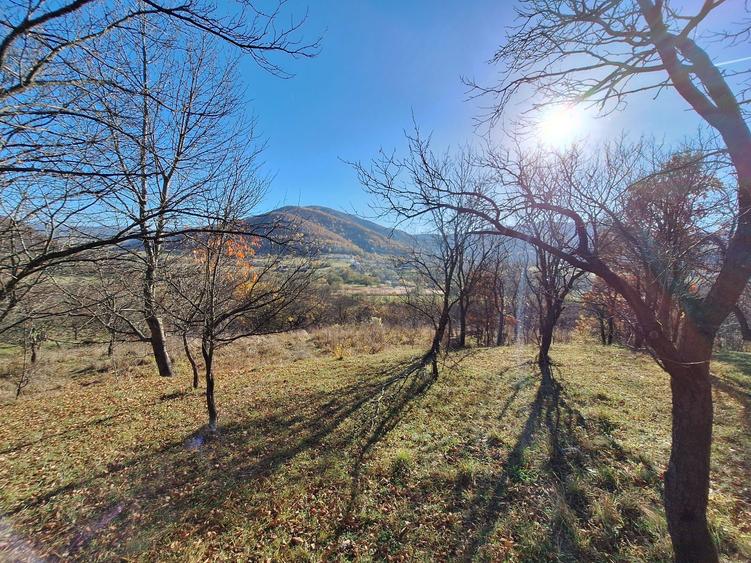 Vand teren la Sibiel - 4