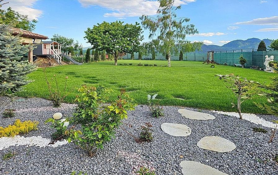 Structura Generoasa Zona Linistita - 6