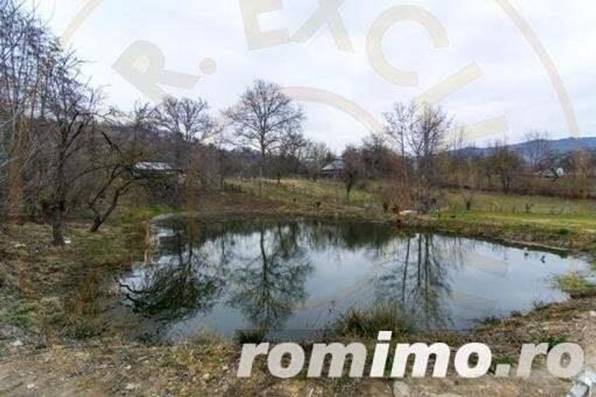 Pensiunea cu lac si ciubar Nucsoara-Arges-Afacere la Cheie - 2