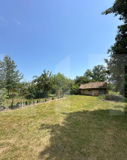 Casa taraneasca in inima naturii - 5