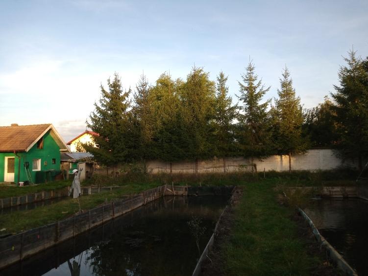 Oportunitate in Zona Metropolitana Brasov - 6