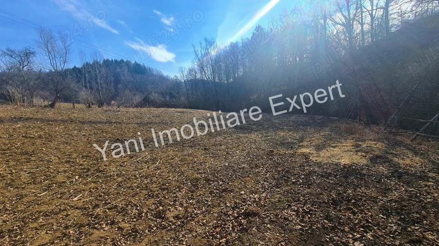 Casa batraneasca + 10.076 mp teren de vanzare in comuna Cepari, Jude? Arge?. - 1