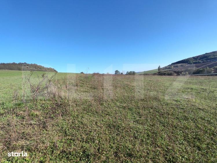 Teren intravilan de vanzare - 6