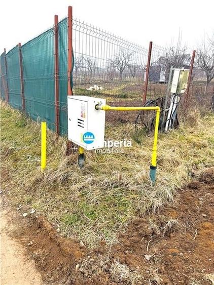 Teren 900 mp, Paun  Bucium,  Autorizatie, bransamente, padure. - 3