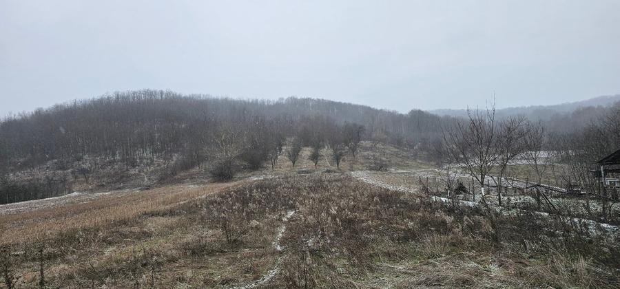 VÂNZARE MOȘIE – Sat Mitrofani, Comuna Mitrofani, jud. Vâlcea - 3