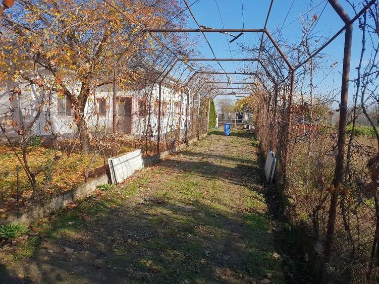 Casă cu Teren 32 Mp în Central