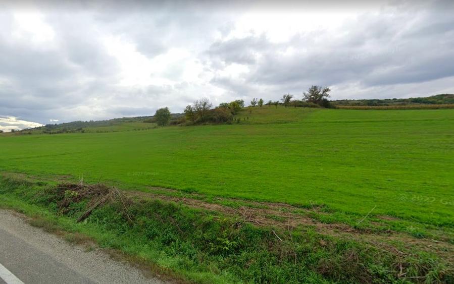 Teren de 42000 mp, în Șeica Mare