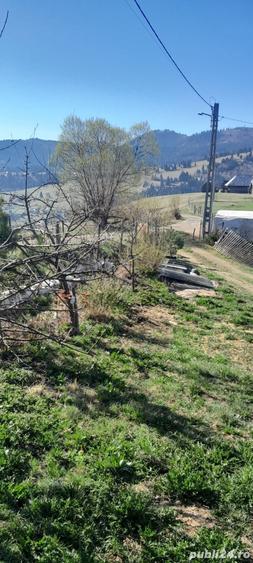 Casă cu 3 camere cu Teren 3892 Mp în Dorna Candrenilor