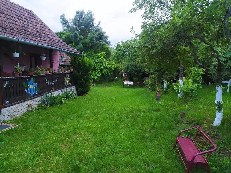 Casă cu 2 camere cu Teren 4000 Mp în Ghida
