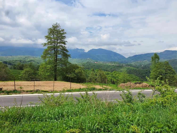 Teren Construcții intravilan de 2000 mp, în Moieciu de Jos