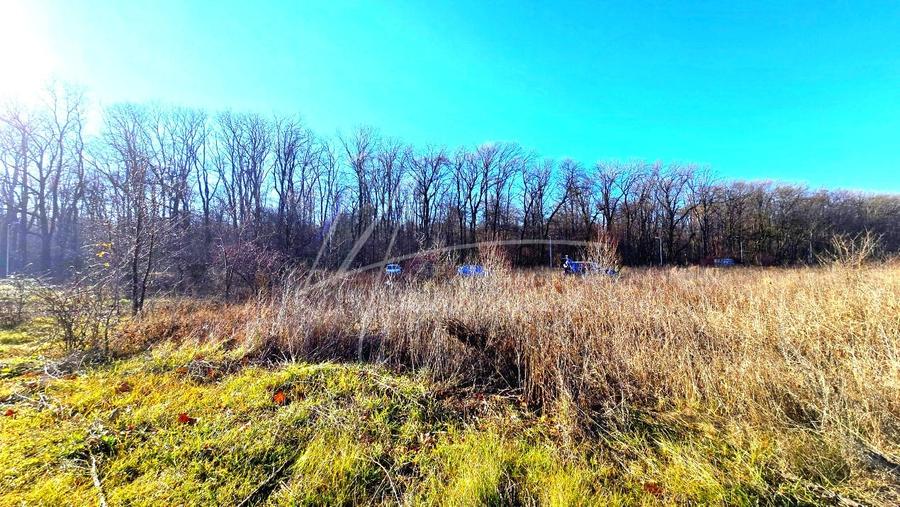 Teren intravilan, 2 fronturi, Drumul Padurea Pustnicu 65 - Greenfield - 17