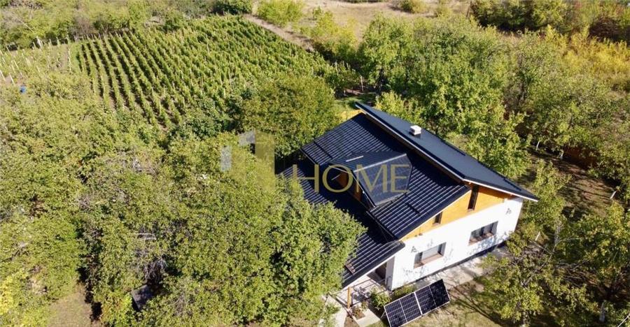 Casa vacanta, 9500 mp teren intravilan, in Valea Calugareas - 14