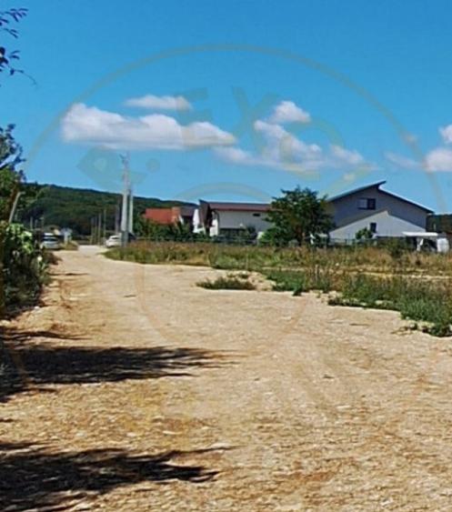 Teren 500 mp intravilan Smeura Stoenari - 4 loturi - 1