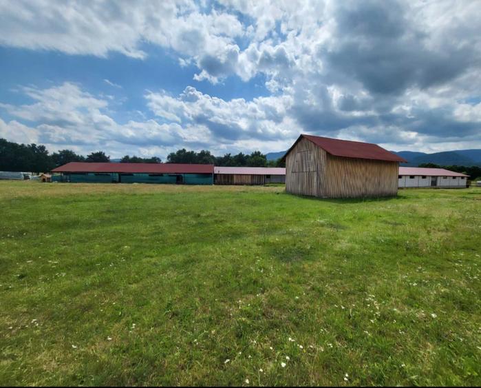 Vand Teren + Ferma+ Balta de peste in Comuna Sapanta judetul Maramures - 4