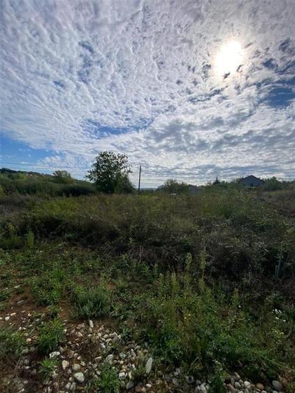 RECO Teren intravilan Paleu 647mp cu Utilitati inclusiv Gaz - 3