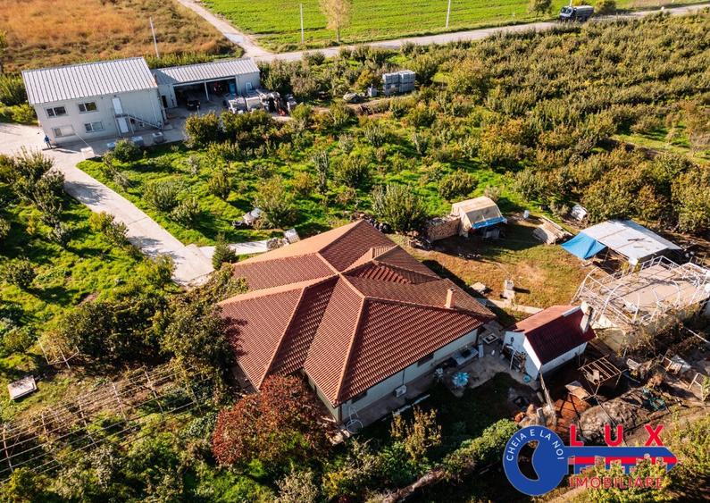 ID 7785 LIVADA SABANGIA DE VANZARE - 25