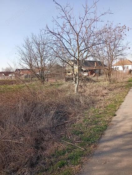 Casa ungaria Magyardombegyhaza - 1