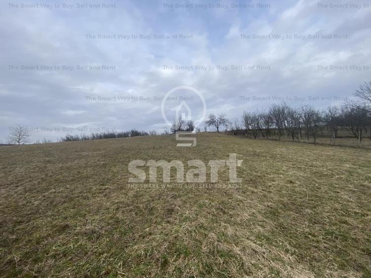 Teren intravilan cu CF 5400mp front 17 Savadisla jud Cluj - 9