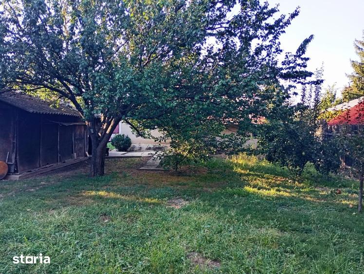 casa cu 4 locuri de parcare ghermanesti (snagov) - 10