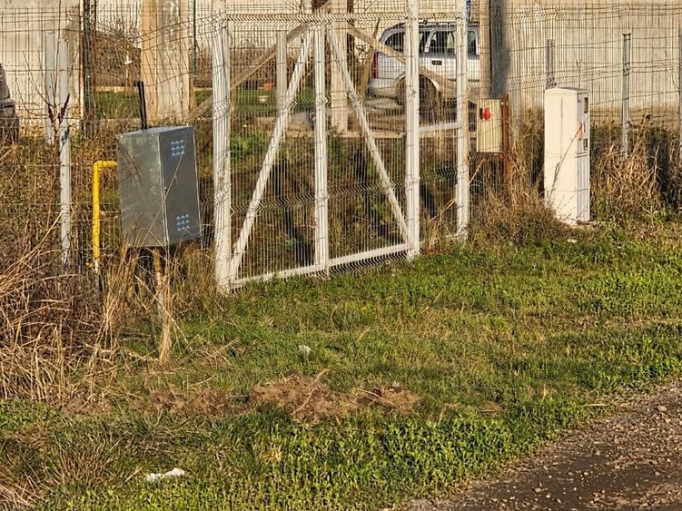 Vanzare teren intravilan Branesti - 5