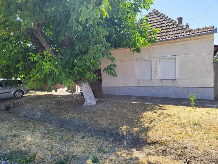 Casa + Curte + Teren arabil generos, Nerau, Teremia Mare, 1596 mp, locuibila imediat - 4