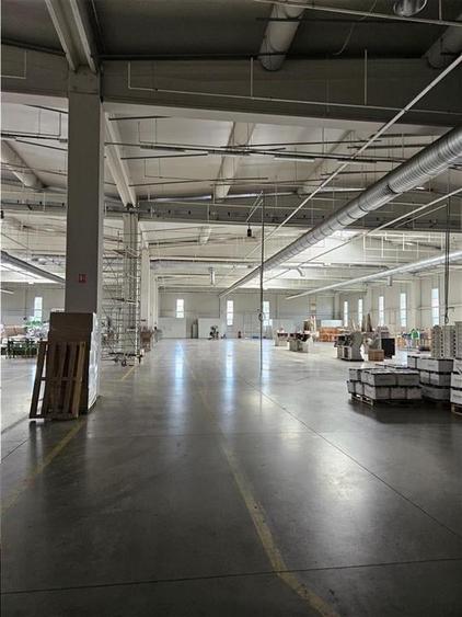 Spatiu Industrial - 6500 mp - Productie - Depozitare - Distributie - 13