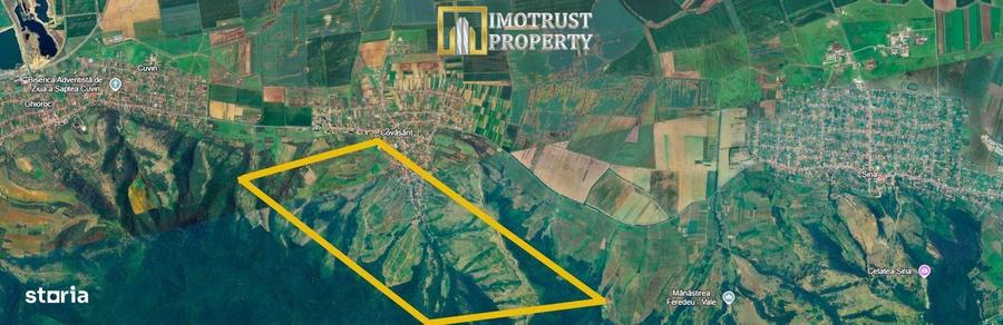 Teren agricol de vanzare 17,51 ha Covasant 7.000 /ha - 4