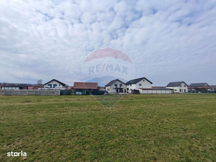 Teren de vanzare 1600 mp Sura Mica - 5