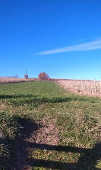 Teren, loc de casa 1800 mp - 4