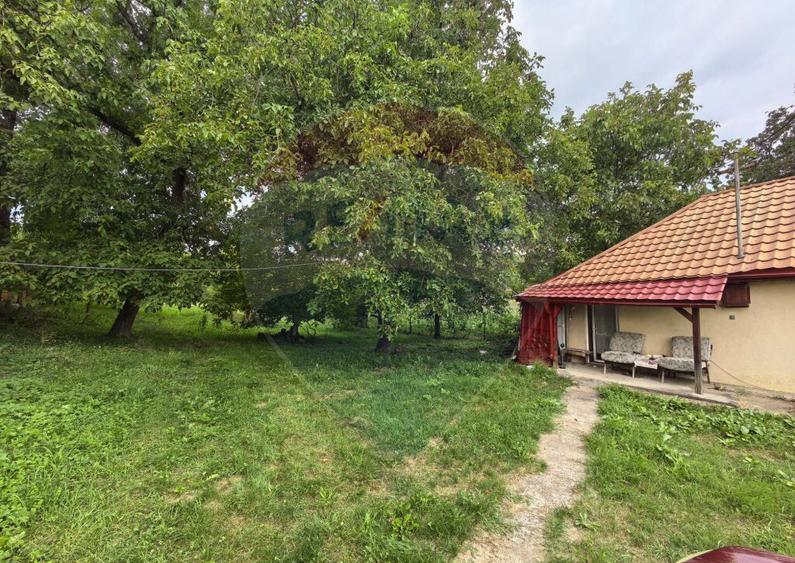 Casa traditionala De Vanzare cu 5 Hectare de teren - 12
